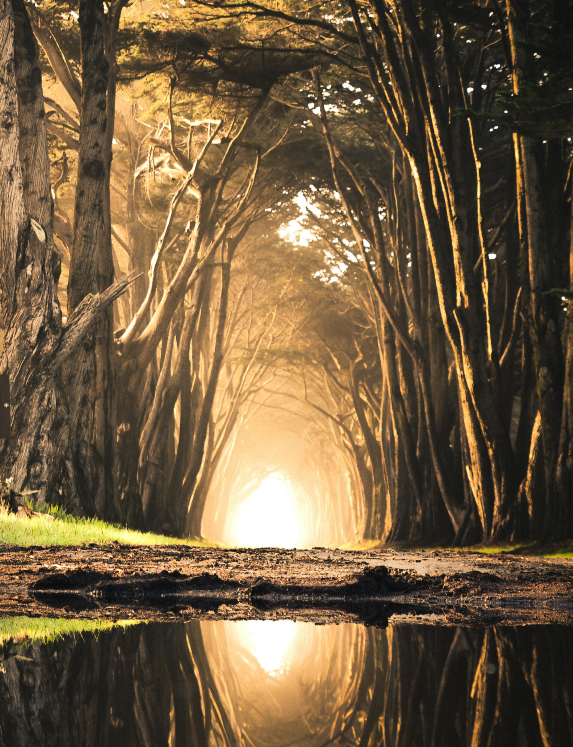 Hidden worlds